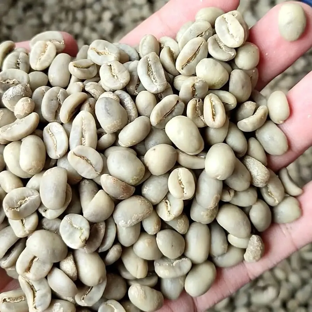 Ethiopian Arabica Green Coffee Beans