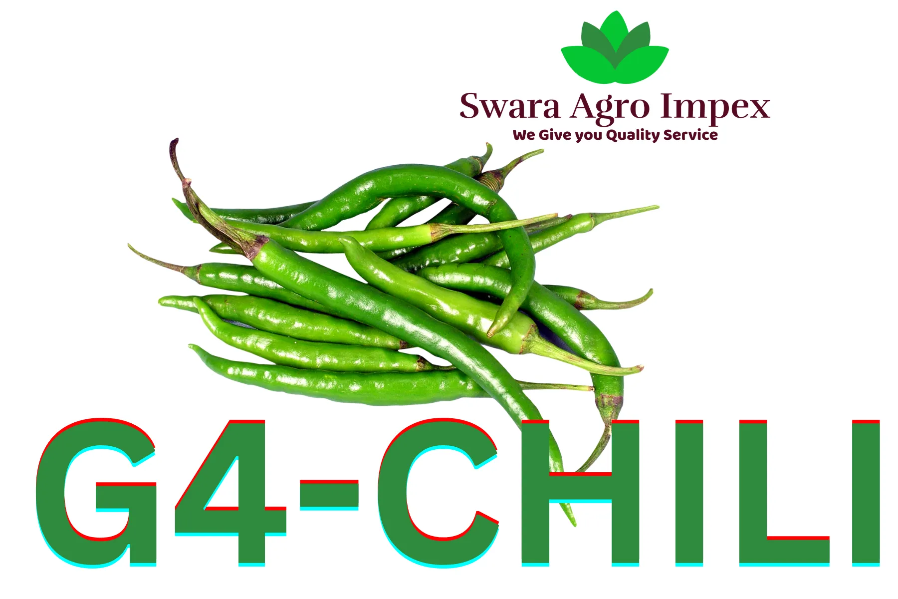 G4 CHILLI